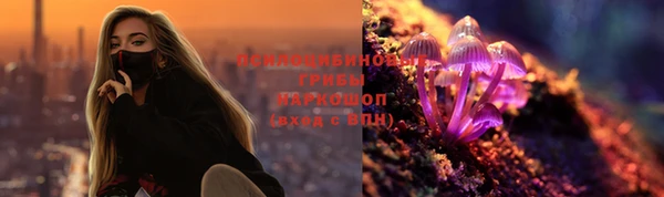 МДПВ Аркадак