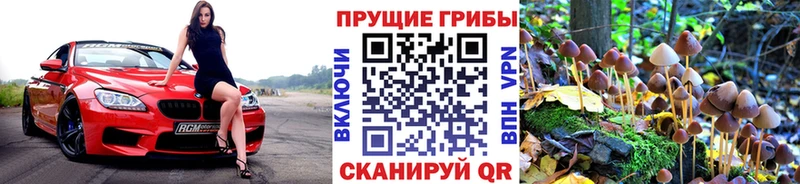 Псилоцибиновые грибы MAGIC MUSHROOMS купить наркоту Якутск