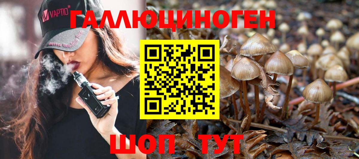 Псилоцибиновые грибы мицелий  Галлюциногенные грибы MAGIC MUSHROOMS  Вход с VPN  Якутск 