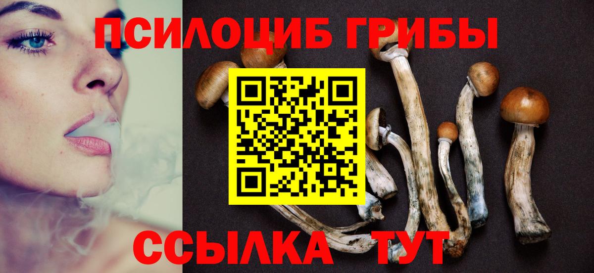 Псилоцибиновые грибы MAGIC MUSHROOMS Якутск